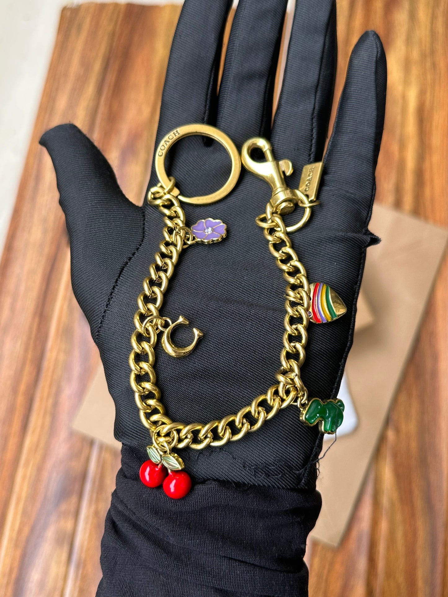 Coach keychain