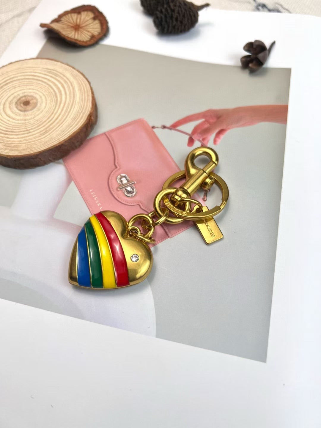 Coach keychain