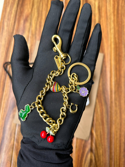 Coach keychain