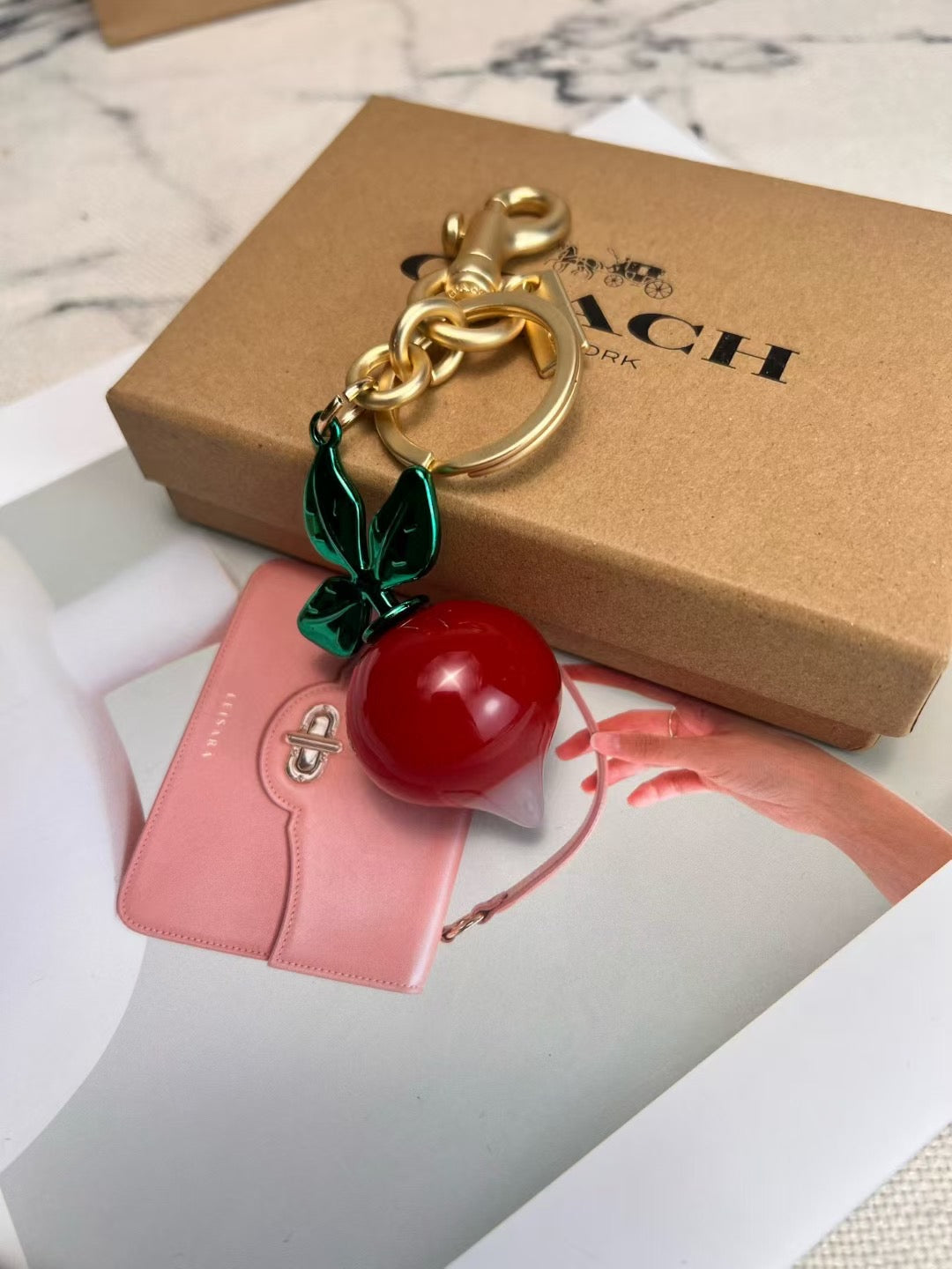 Coach keychain