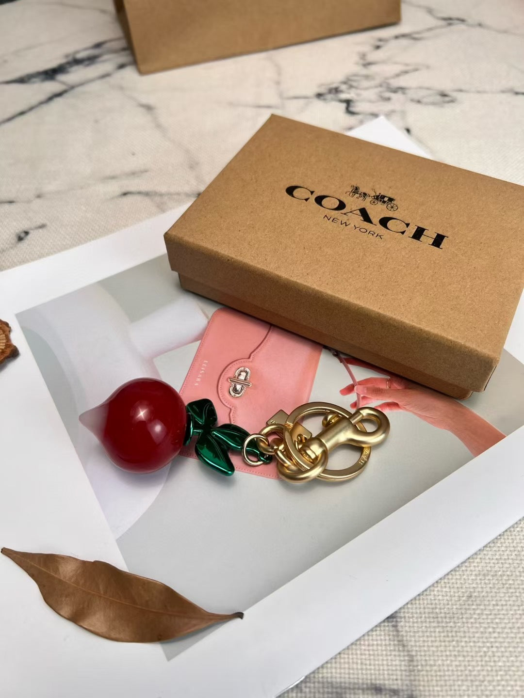 Coach keychain