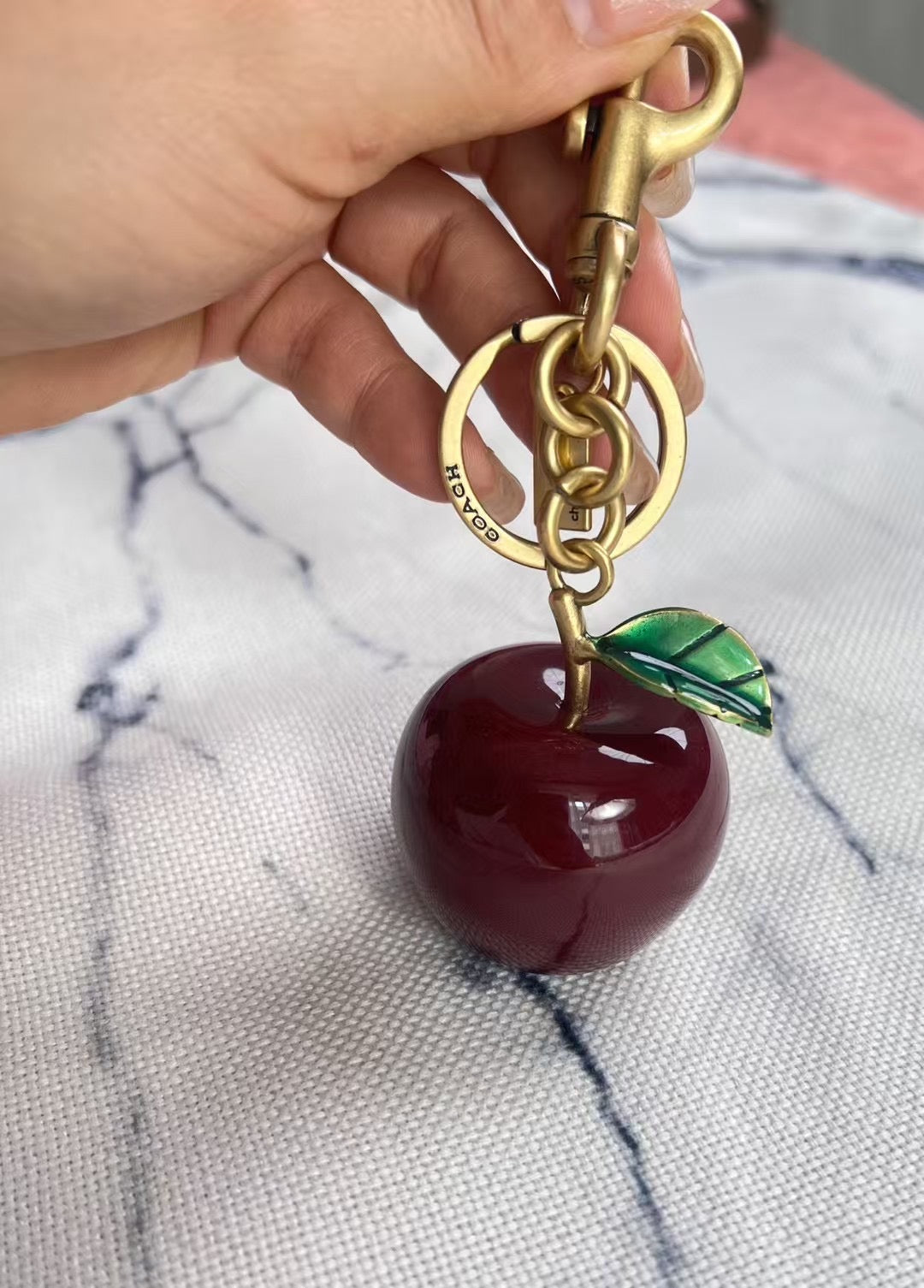 Coach keychain