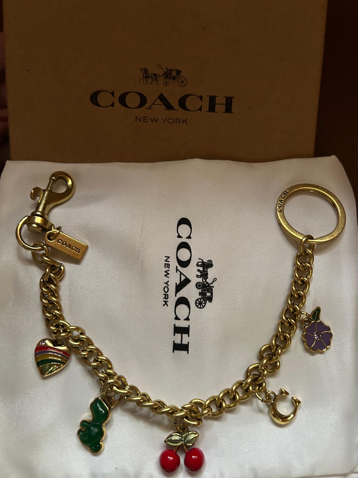 Coach keychain