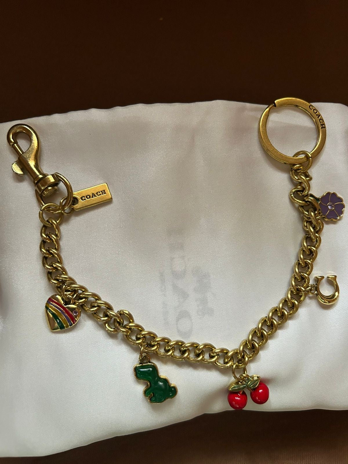 Coach keychain