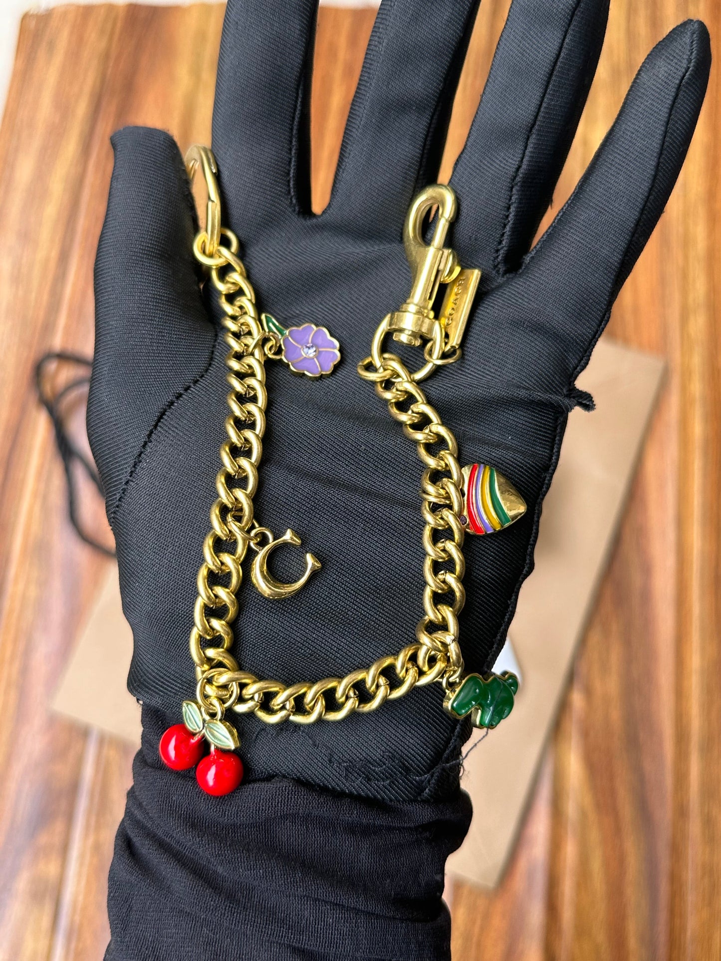 Coach keychain